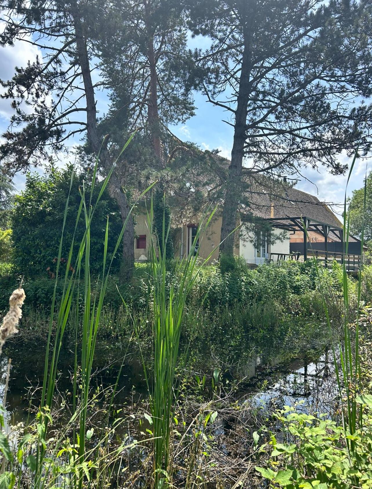 Le Gite Du Chateau Mouton Chatenoy-le-Royal エクステリア 写真