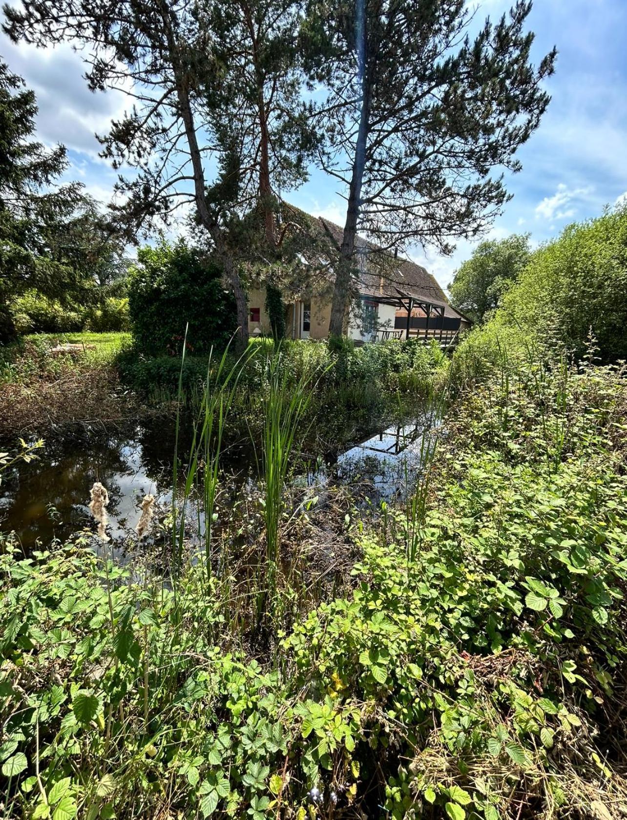 Le Gite Du Chateau Mouton Chatenoy-le-Royal エクステリア 写真